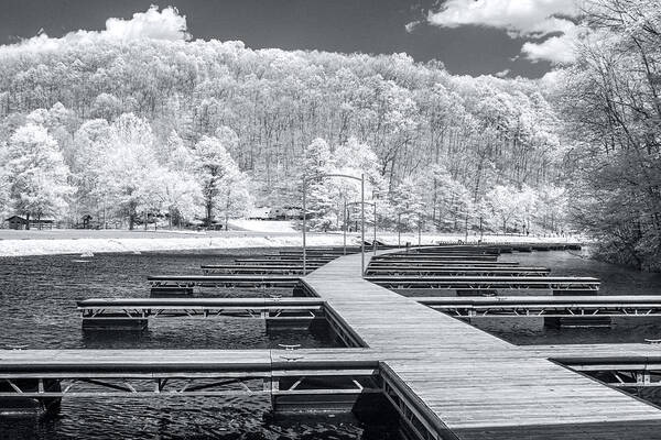 Infrared Art Print featuring the photograph Dock in infrared by Mary Almond