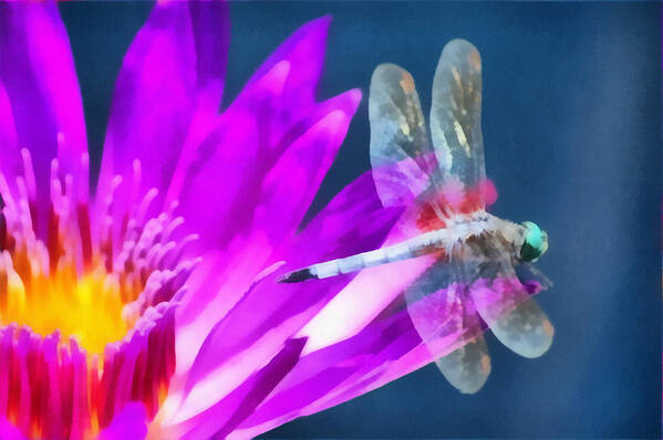 Flower Art Print featuring the photograph Dragonfly Lily by Paul Slebodnick