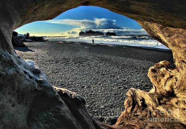 Olympic National Park Art Print featuring the photograph Drift Wood Frame by Adam Jewell