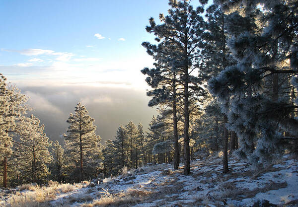 Mountains Art Print featuring the photograph Early AM Above Boulder-Photo by William Frew