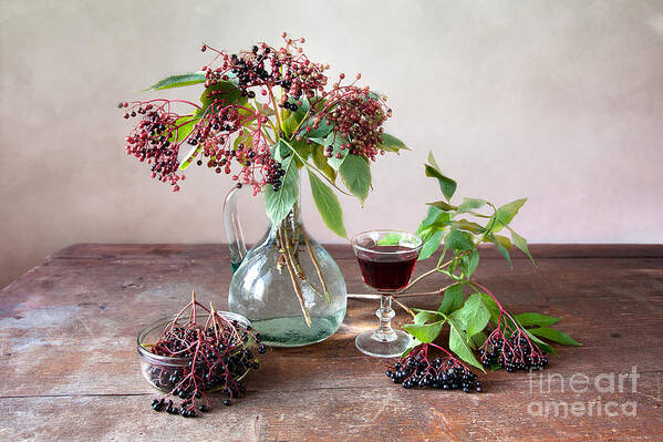 Autumn Art Print featuring the photograph Elderberries 03 by Nailia Schwarz