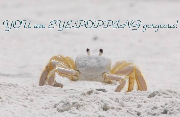 Crab Art Print featuring the photograph Eye Popping Gorgeous by Judy Hall-Folde
