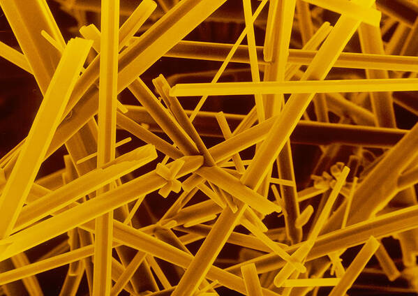 Caffeine Crystals Art Print featuring the photograph False Col. Sem Of Caffeine Crystals X150. by Dr Jeremy Burgess