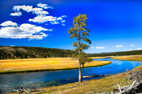 River Art Print featuring the photograph Firehole River II by Robert Bales