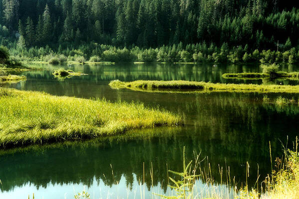 Toketee Art Print featuring the photograph Fishing The Still Water by KATIE Vigil