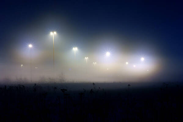 Fog Art Print featuring the photograph Fog by Cale Best