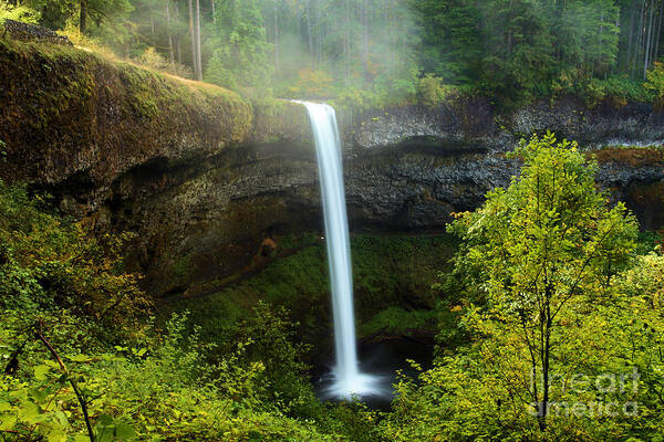 Silver Falls State Park Art Print featuring the photograph Fog Over The Falls by Adam Jewell