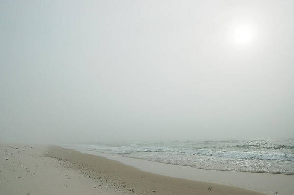 Alabama Photographer Art Print featuring the digital art Foggy Beach by Michael Thomas