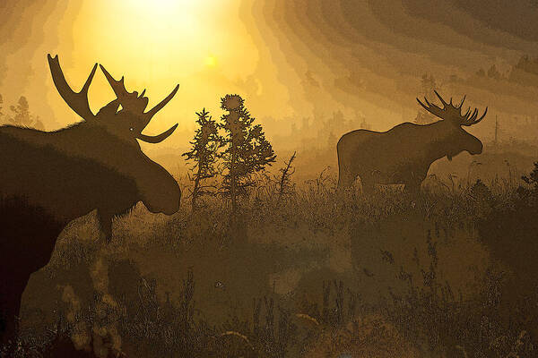 Abstract Art Print featuring the photograph Foggy Morning Bulls- Abstract by Tim Grams