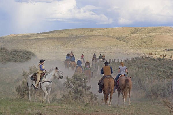 Cowboys Art Print featuring the photograph Following the Herd by Judy Deist
