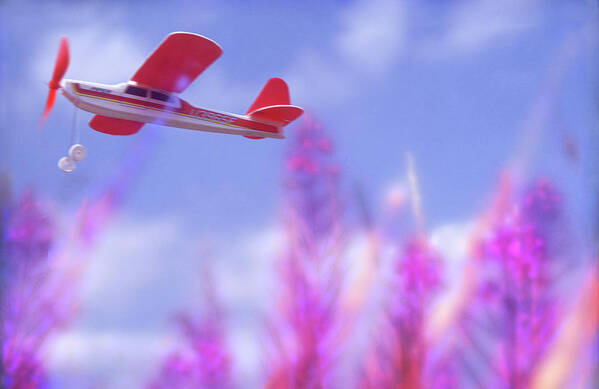 Child Art Print featuring the photograph Free Flight by Richard Piper