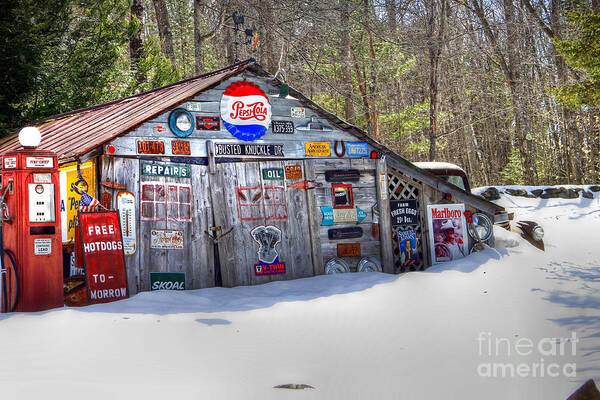 Maine Art Print featuring the photograph Free Hotdogs by Brenda Giasson