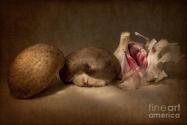 Food Art Print featuring the photograph Fungi and Garlic by Ann Garrett