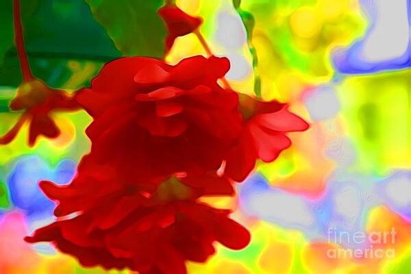 Red Flowers Art Print featuring the photograph Garish by Julie Lueders 
