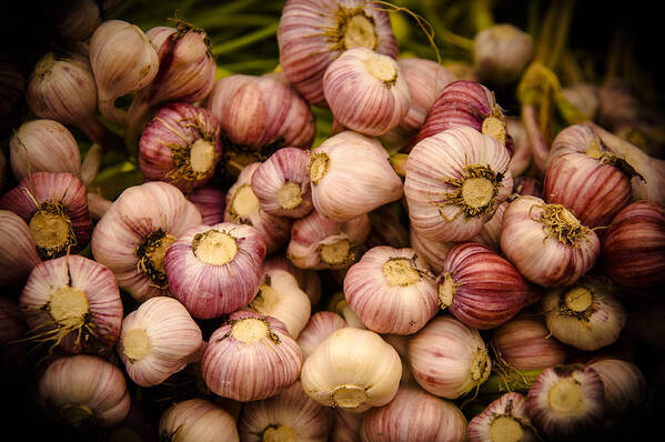 Food Art Print featuring the photograph Garlic by Jen Morrison