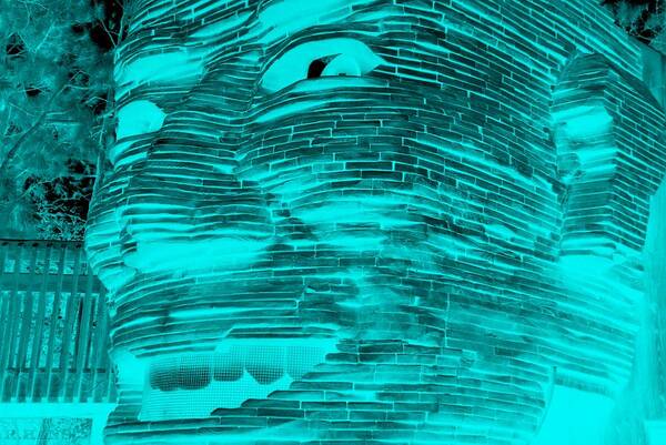 Architecture Art Print featuring the photograph GENTLE GIANT in NEGATIVE TURQUOIS by Rob Hans