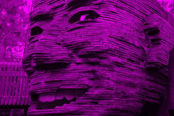 Architecture Art Print featuring the photograph GENTLE GIANT in PURPLE by Rob Hans