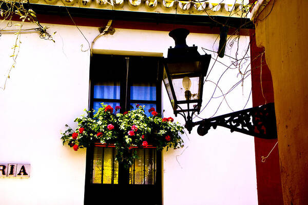 Spanish Art Art Print featuring the photograph Geraniums and Light by Rick Bragan