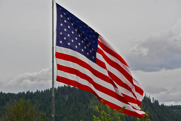 American Flag Art Print featuring the photograph God Bless America by Diana Hatcher