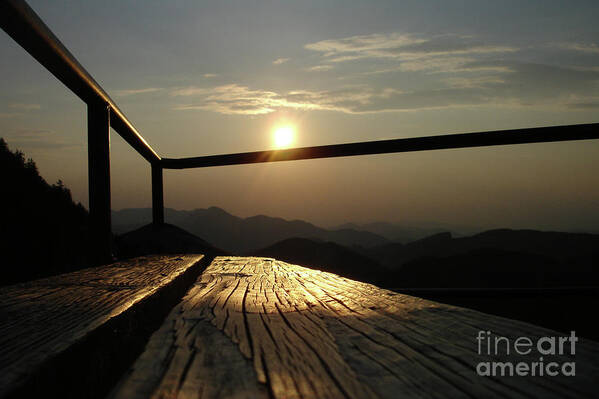 Photograph Art Print featuring the photograph Golden Cut by Bruno Santoro