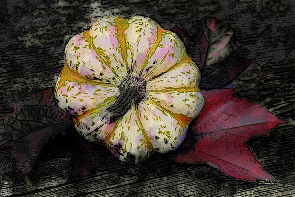 Photo Art Print featuring the photograph Gothic Pumpkin by Jutta Maria Pusl