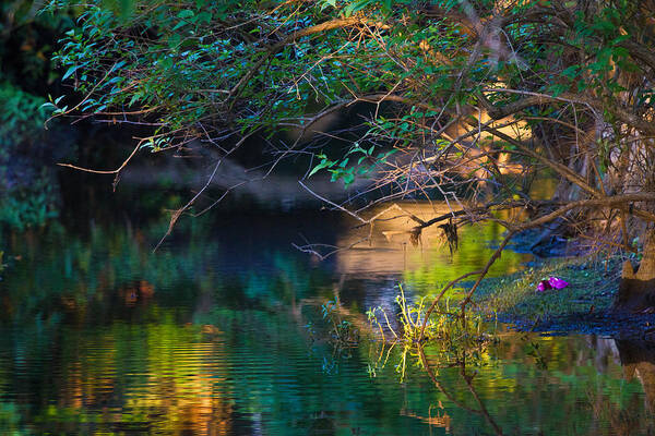 Green Reflections. Pretty Stream Art Print featuring the photograph Green Reflections by Dorothy Cunningham