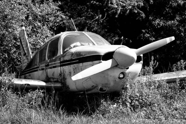 Grounded Plane Art Print featuring the photograph Grounded by Michael Dorn