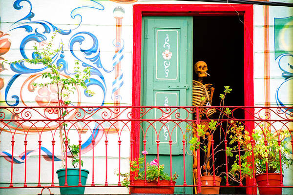 Travel Art Print featuring the photograph Skeleton / Doorway by Claude Taylor