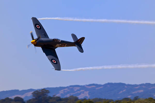 Hawker Sea Fury Art Print featuring the photograph Hawker Sea Fury by Garry Gay