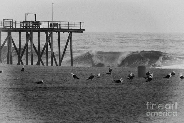 Hdr Art Print featuring the photograph HDR Black White Beach Beaches Ocean Sea Seaview Waves Pier Photos Pictures Photographs Photo Picture by Al Nolan