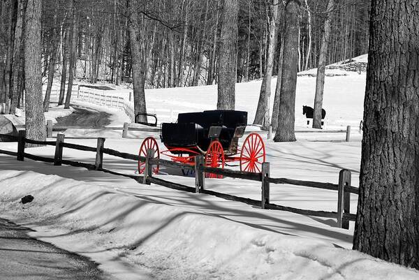 Winter Art Print featuring the photograph Horse and Buggy - No Work Today No. 2 by Janice Adomeit