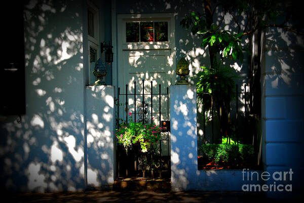 House Door Art Print featuring the photograph House Door 11 in Charleston SC by Susanne Van Hulst