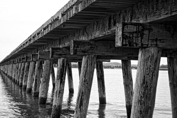 Pier Art Print featuring the photograph Infinity by Heather Applegate
