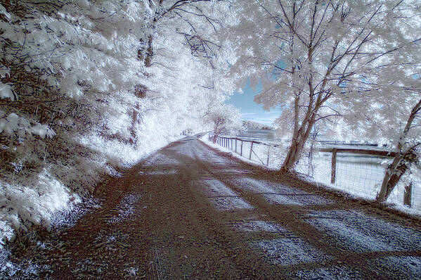Infrared Photos Art Print featuring the photograph Infrared Snow in July by Gregory Blank