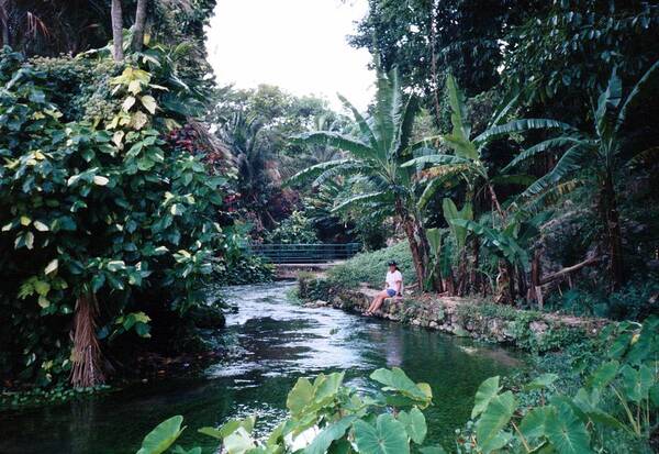 Jamaica Art Print featuring the photograph Jamaica - The Beautiful by Debbie Levene