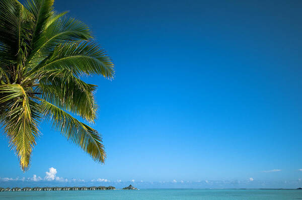 Maldives Art Print featuring the photograph Just Another Day in Paradise. Maldives by Jenny Rainbow