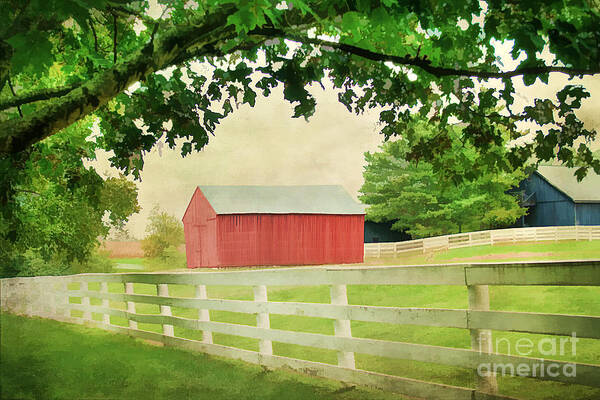 Agriculture Art Print featuring the photograph Kentucky Country Side by Darren Fisher