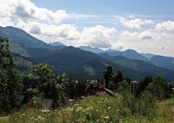 Poland Art Print featuring the photograph Koscielisko Tatras scene by Tony Brown