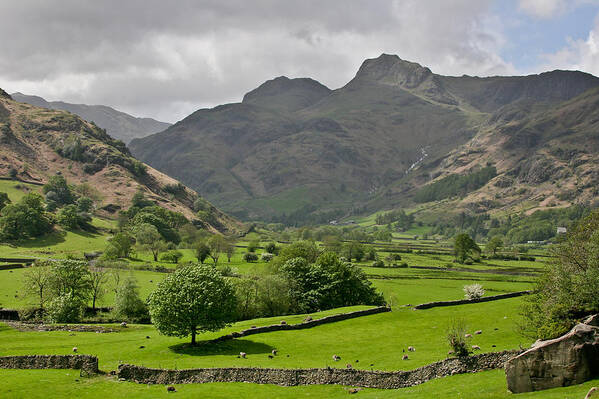 Landscape Art Print featuring the photograph Lake District England by Tom and Pat Cory