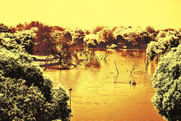 Lake Art Print featuring the photograph Lake In India by Sumit Mehndiratta