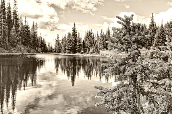 Lake Irene Art Print featuring the photograph Lake Irene at Milner's Pass - Rocky Mountain National Park Colorado by Andre Babiak
