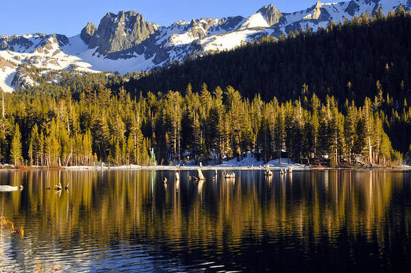 Lake Mary Art Print featuring the photograph Lake Mary Reflections by Lynn Bauer