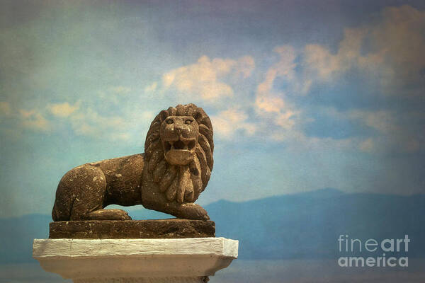 Lion Art Print featuring the photograph Leo on a Roof by Susan Isakson