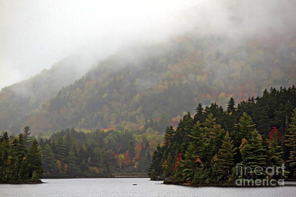 Maine Art Print featuring the photograph Listen for the Loons by Brenda Giasson