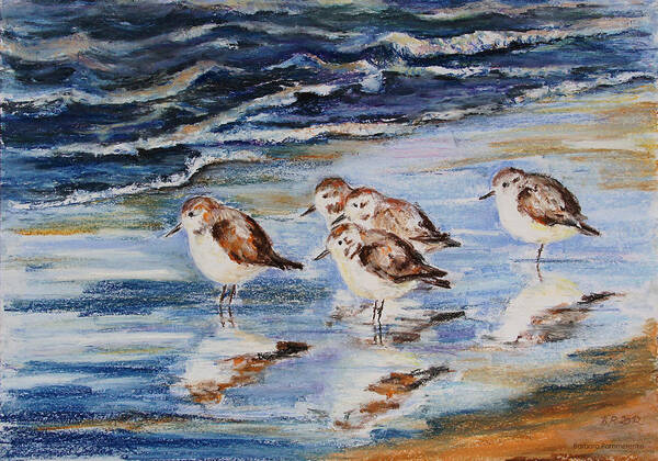 Barbara Pommerenke Pastel Pastell Little Stints Zwergstrandlaeufer Strandlaeufer Watvogel Voegel See Meer Strand Ostsee Baltic Sea Ea Beach Animals Wading Birds Wader Art Print featuring the drawing Little Stints by Barbara Pommerenke