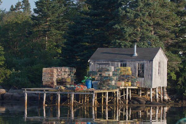 Acadia Art Print featuring the photograph Lobster Shack Prospect Harbor by Dale J Martin