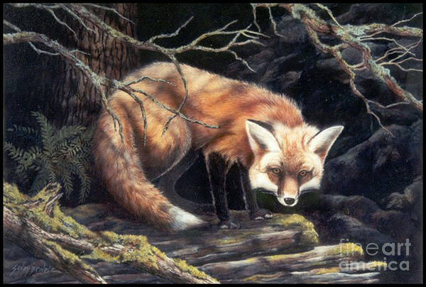 Watercolor Art Print featuring the painting Looking for Lunch  SOLD by Sandy Brindle
