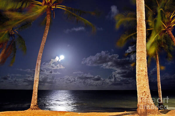 Maceio Art Print featuring the photograph Maceio - Brazil - Ponta Verde Beach under the moonlit by Carlos Alkmin
