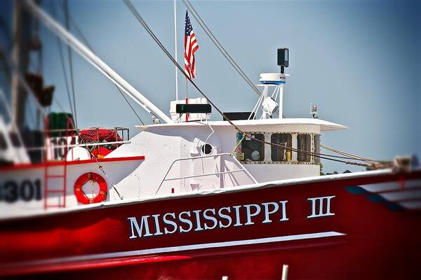 Mississippi Art Print featuring the photograph Mississippi III by Jim Albritton