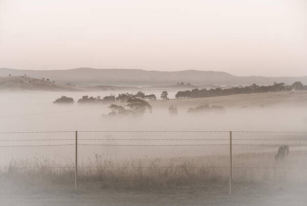 Sepia Art Print featuring the photograph Misty morning in the country 2 by Fran Woods